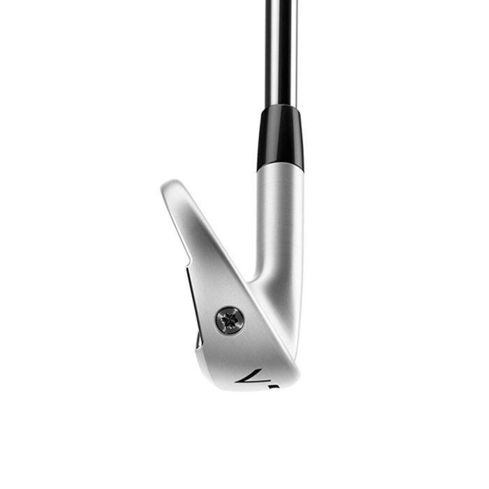 Taylormade P770 (4-P) Steel Irons