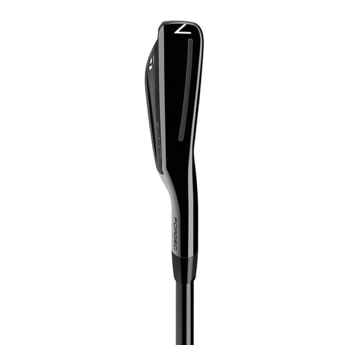 Taylormade P770 (4-P) Phantom Black Steel Irons