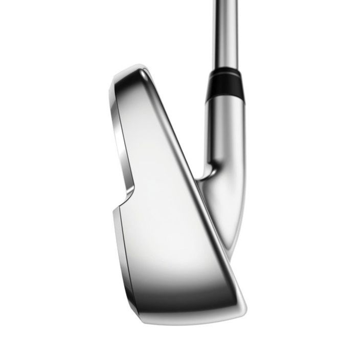 CALLAWAY Apex Pro (4-P) Steel Irons