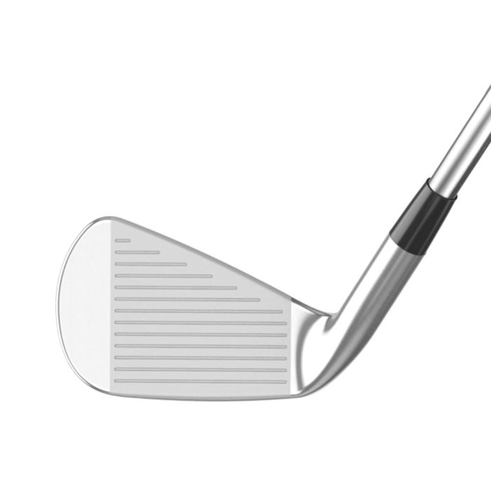 Mizuno Pro 245 (4-P) Steel Irons