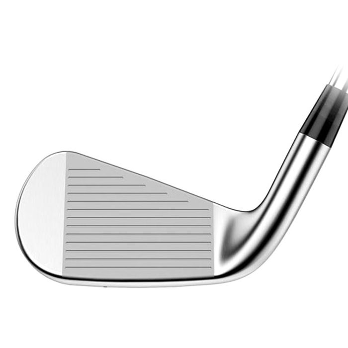 Titleist T300 (5-W) Steel Irons